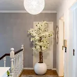 Maria Reall's Casa vacanze Braga