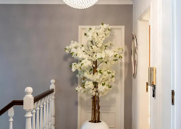 Maria Reall's Dom wakacyjny Braga